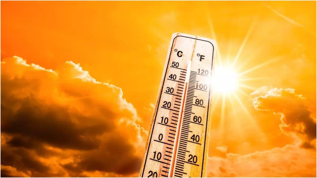 अप्रैल से जून तक आग उगलेगा सूरज, इन 6 राज्यों पर Heatwave का पड़ेगा सबसे बुरा असर; आपके शहर का क्या हाल?.. 42 अप्रैल से जून तक आग उगलेगा सूरज, इन 6 राज्यों पर Heatwave का पड़ेगा सबसे बुरा असर; आपके शहर का क्या हाल?.. February 13, 2026