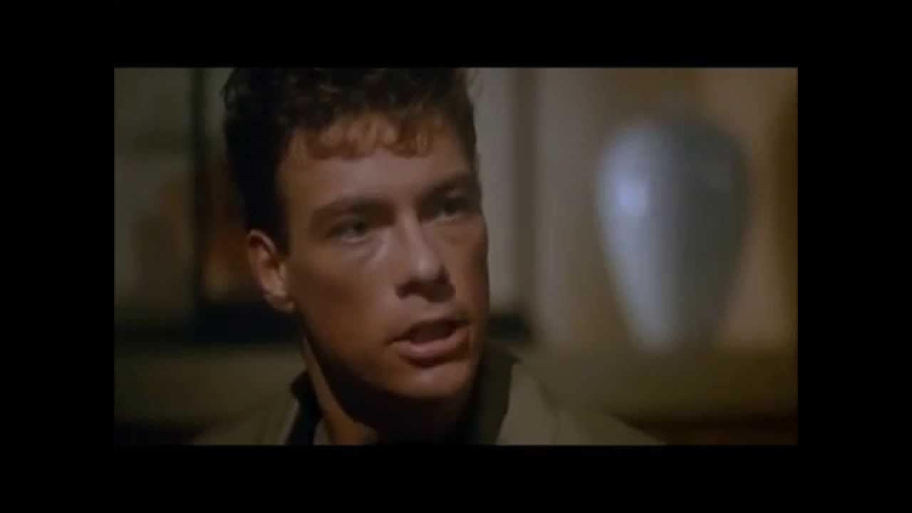 How to Add Search to a Static WordPress Site for Free Using Lunr 45 How to Add Search to a Static WordPress Site for Free Using Lunr February 9, 2026