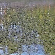 ग्वालियर में 24 घंटे में हार्ट-अटैक से 5 की मौत,प्रदेश में अभी दो-तीन दिन और पड़ेगी कड़ाके की ठंड.. 42 ग्वालियर में 24 घंटे में हार्ट-अटैक से 5 की मौत,प्रदेश में अभी दो-तीन दिन और पड़ेगी कड़ाके की ठंड.. March 7, 2026