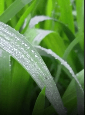 MP में 13 फरवरी से फिर ठंड,दो दिन बढ़ेगा, फिर घटेगा पारा.. 42 MP में 13 फरवरी से फिर ठंड,दो दिन बढ़ेगा, फिर घटेगा पारा.. March 7, 2026