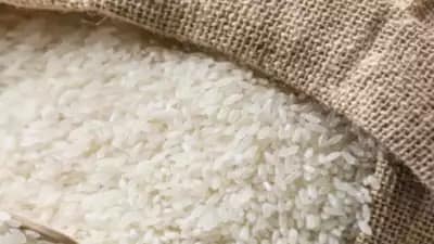 चावल निर्यात प्रतिबंध से छत्तीसगढ़ के किसान आहत: सीएम भूपेश बाग... 42 चावल निर्यात प्रतिबंध से छत्तीसगढ़ के किसान आहत: सीएम भूपेश बाग... December 2, 2025