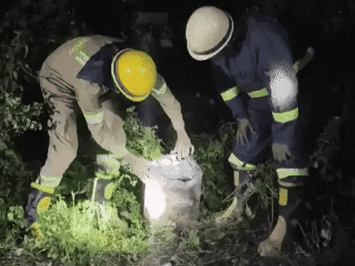 कालिंदी एक्सप्रेस को पलटने की साजिश, IB-ATS पहुंचीं,ट्रैक पर सिलेंडर से टकराई ट्रेन, पेट्रोल-बारूद मिला; 6 संदिग्ध हिरासत में, जमातियों की जांच 42 कालिंदी एक्सप्रेस को पलटने की साजिश, IB-ATS पहुंचीं,ट्रैक पर सिलेंडर से टकराई ट्रेन, पेट्रोल-बारूद मिला; 6 संदिग्ध हिरासत में, जमातियों की जांच March 6, 2026