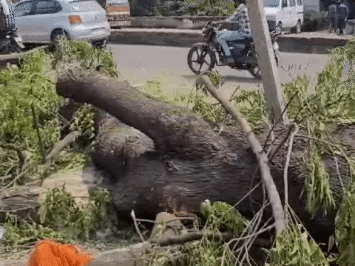 प्रभात चौराहे पर थ्री टियर ट्रैफिक, पेड़ों की कटाई शुरू,भोपाल में बनेगा डबल डेकर फ्लाईओवर ब्रिज; 9 महीने में तैयार होगा 42 प्रभात चौराहे पर थ्री टियर ट्रैफिक, पेड़ों की कटाई शुरू,भोपाल में बनेगा डबल डेकर फ्लाईओवर ब्रिज; 9 महीने में तैयार होगा December 2, 2025