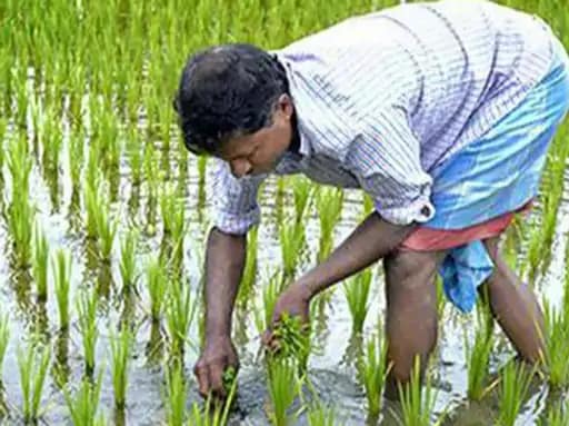 एमपी में राजस्व महाभियान आज से,रोज कलेक्टरों से रिपोर्ट लेगी सरकार, जिलों की परफार्मेंस रिपोर्ट भी होगी तैयार 42 एमपी में राजस्व महाभियान आज से,रोज कलेक्टरों से रिपोर्ट लेगी सरकार, जिलों की परफार्मेंस रिपोर्ट भी होगी तैयार December 2, 2025