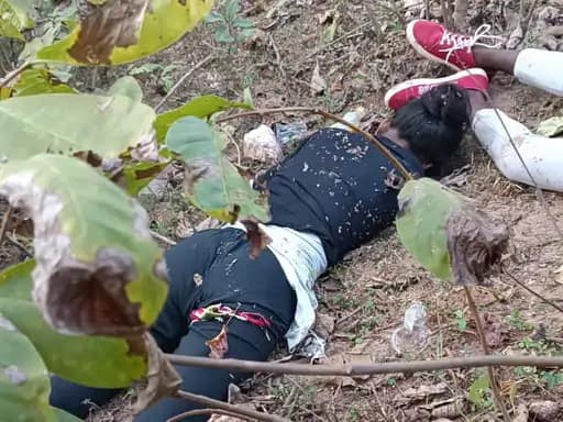 कोल्ड ड्रिंक में जहर मिलाकर पीया, प्रेमी जोड़े की मौत... 42 कोल्ड ड्रिंक में जहर मिलाकर पीया, प्रेमी जोड़े की मौत... March 6, 2026