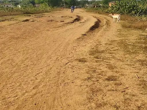 गांव में सड़क नहीं,फार्म हाउस के लिए बन गई रोड.. 42 गांव में सड़क नहीं,फार्म हाउस के लिए बन गई रोड.. April 20, 2026