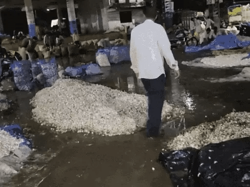 मंदसौर में 25 लाख रु. का लहसुन बहा,दो दिन और तेज बारिश का दौर, फिर घटेगी एक्टिविटी.. 42 मंदसौर में 25 लाख रु. का लहसुन बहा,दो दिन और तेज बारिश का दौर, फिर घटेगी एक्टिविटी.. February 17, 2026