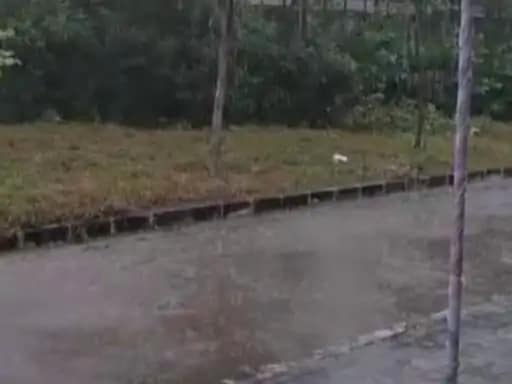 भोपाल में आज अति भारी बारिश का अलर्ट,पूरे शहर में सुबह से हो रही तेज बारिश.. 42 भोपाल में आज अति भारी बारिश का अलर्ट,पूरे शहर में सुबह से हो रही तेज बारिश.. December 2, 2025