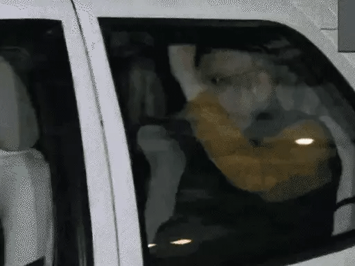 MP में मंत्रिमंडल पर जेपी नड्डा के घर मंथन,शाह और CM डॉ. मोहन भी हुए शामिल, पहली बार में 20 मंत्री ले सकते हैं शपथ 42 MP में मंत्रिमंडल पर जेपी नड्डा के घर मंथन,शाह और CM डॉ. मोहन भी हुए शामिल, पहली बार में 20 मंत्री ले सकते हैं शपथ December 24, 2025