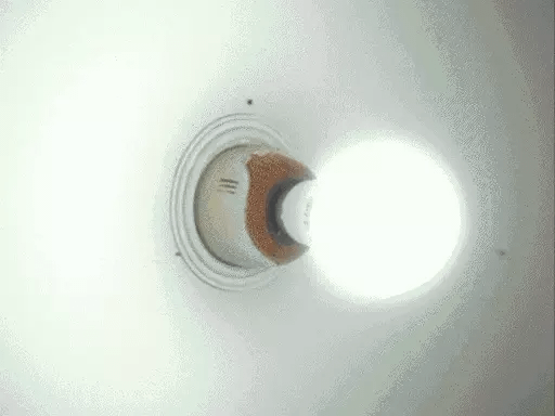 भोपाल@31.2° सीजन की सबसे गर्म रात में बिजली गुल,18 घंटे में 3700 शिकायतें, 300 इलाकों में शटडाउन; वजह- रिकॉर्ड 515 मेगावॉट की खपत 42 भोपाल@31.2° सीजन की सबसे गर्म रात में बिजली गुल,18 घंटे में 3700 शिकायतें, 300 इलाकों में शटडाउन; वजह- रिकॉर्ड 515 मेगावॉट की खपत November 10, 2025