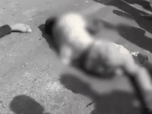 बृजभूषण के कॉलेज की फॉर्च्यूनर ने 2 को रौंदा, मौत,गाड़ी पर पुलिस एस्कॉर्ट लिखा था, दावा- सांसद का बेटा काफिले में था 42 बृजभूषण के कॉलेज की फॉर्च्यूनर ने 2 को रौंदा, मौत,गाड़ी पर पुलिस एस्कॉर्ट लिखा था, दावा- सांसद का बेटा काफिले में था February 17, 2026