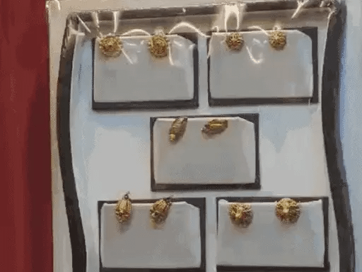 भोपाल में ₹88,500 में एक किलो चांदी,पहली बार चांदी के इतने रेट; कारोबार में 30% गिरावट 42 भोपाल में ₹88,500 में एक किलो चांदी,पहली बार चांदी के इतने रेट; कारोबार में 30% गिरावट February 18, 2026