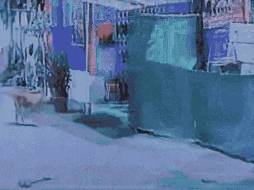 इंदौर के मंदिर में मिले मांस के टुकड़े,आजाद नगर में फोर्स तैनात, एसीपी-टीआई मौके पर; पुलिस बोली- कुत्ते कहीं और से लाए टुकड़े 42 इंदौर के मंदिर में मिले मांस के टुकड़े,आजाद नगर में फोर्स तैनात, एसीपी-टीआई मौके पर; पुलिस बोली- कुत्ते कहीं और से लाए टुकड़े November 27, 2025