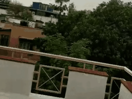 रामघाट के पास अजगर मिलने से श्रद्धालु सहमे,दो घंटे तक वन विभाग की टीम नहीं पहुंची, युवक ने रेस्क्यू कर अजगर को जंगल में छोड़ा 42 रामघाट के पास अजगर मिलने से श्रद्धालु सहमे,दो घंटे तक वन विभाग की टीम नहीं पहुंची, युवक ने रेस्क्यू कर अजगर को जंगल में छोड़ा December 2, 2025