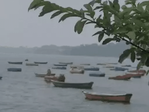 भोपाल में अब तक 28% बारिश, 10.5 इंच पानी गिरा,बड़ा तालाब में 0.70 फीट पानी बढ़ा; 4 दिन तेज बारिश का अलर्ट 42 भोपाल में अब तक 28% बारिश, 10.5 इंच पानी गिरा,बड़ा तालाब में 0.70 फीट पानी बढ़ा; 4 दिन तेज बारिश का अलर्ट December 2, 2025