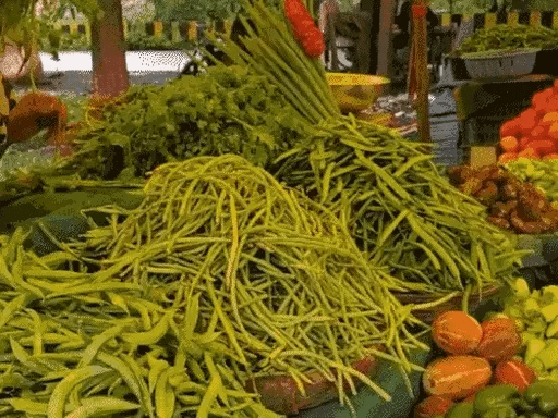 इंदौर में एक हफ्ते में आधे हुए टमाटर के रेट,हरी सब्जियों की कीमतों में भी गिरावट, दोगुना हुए सुरजना फली के भाव 42 इंदौर में एक हफ्ते में आधे हुए टमाटर के रेट,हरी सब्जियों की कीमतों में भी गिरावट, दोगुना हुए सुरजना फली के भाव December 2, 2025