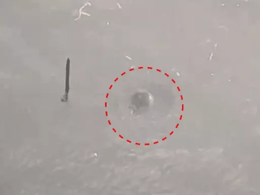 भोपाल के बड़े तालाब में मिले महिला-पुरुष के शव,मोपेड से हुई महिला की शिनाख्त, पुरुष की नहीं हुई पहचान 42 भोपाल के बड़े तालाब में मिले महिला-पुरुष के शव,मोपेड से हुई महिला की शिनाख्त, पुरुष की नहीं हुई पहचान December 2, 2025