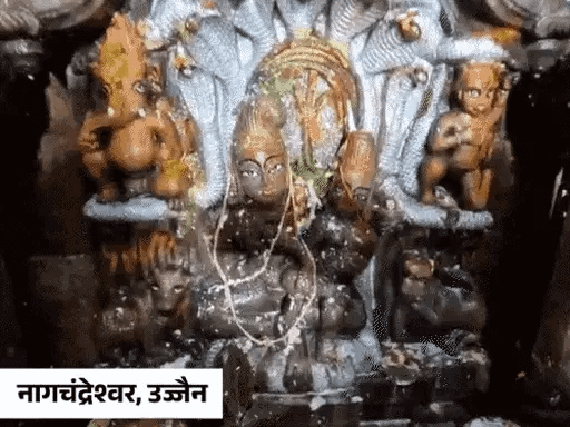 ढाई लाख से ज्यादा भक्तों ने किए नागचंद्रेश्वर के दर्शन,बड़वानी में भीलटदेव का 101 लीटर दूध से अभिषेक; रायसेन में नागों की अदालत 42 ढाई लाख से ज्यादा भक्तों ने किए नागचंद्रेश्वर के दर्शन,बड़वानी में भीलटदेव का 101 लीटर दूध से अभिषेक; रायसेन में नागों की अदालत December 2, 2025