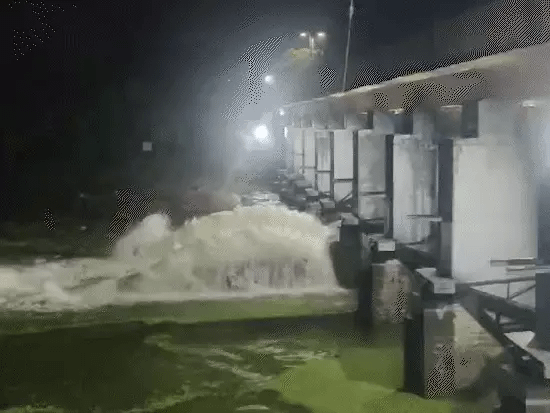 भोपाल में सीजन की 98% बारिश, 36.8 इंच पानी गिरा,केरवा के 4, भदभदा के 2, कलियासोत डैम का एक गेट खुला; आज भी बारिश का अलर्ट 42 भोपाल में सीजन की 98% बारिश, 36.8 इंच पानी गिरा,केरवा के 4, भदभदा के 2, कलियासोत डैम का एक गेट खुला; आज भी बारिश का अलर्ट December 2, 2025