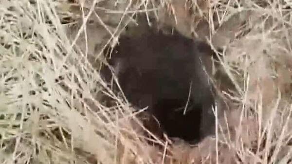 16 घंटे बाद भी बोरवेल में फंसा हुआ है मासूम मयंक 42 16 घंटे बाद भी बोरवेल में फंसा हुआ है मासूम मयंक December 2, 2025