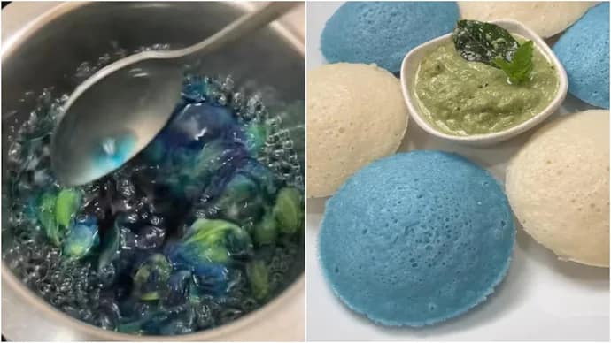 वायरल वीडियो में फूलों के अर्क से नीली इडली बनाती महिला। 42 वायरल वीडियो में फूलों के अर्क से नीली इडली बनाती महिला। March 5, 2026