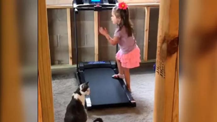 छोटी लड़की अपनी पालतू बिल्ली को वायरल वीडियो में ट्रेडमिल का उपयोग करना सिखाती है... 42 छोटी लड़की अपनी पालतू बिल्ली को वायरल वीडियो में ट्रेडमिल का उपयोग करना सिखाती है... December 2, 2025