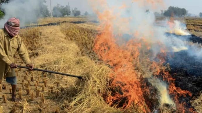 पंजाब में इस सीजन में पराली जलाने की घटनाएं अब तक की सबसे अधिक.. 42 पंजाब में इस सीजन में पराली जलाने की घटनाएं अब तक की सबसे अधिक.. December 2, 2025